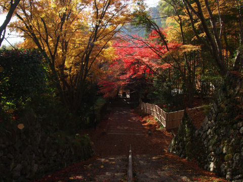 帰りがけの撮影
