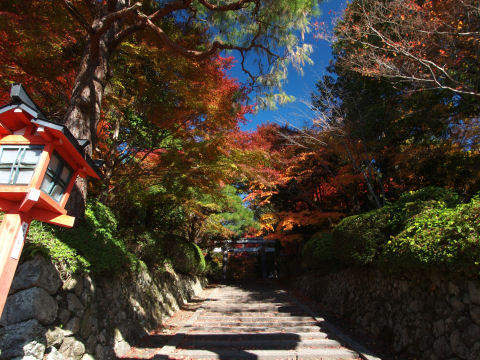 やっぱり日が当たらないと