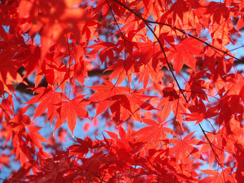 よーよー透かしてんなー