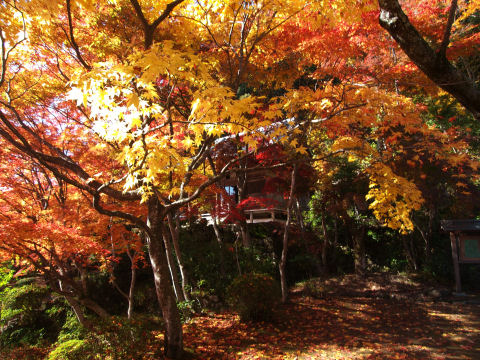 不動堂見えづらい