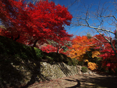 意外に人が少ない