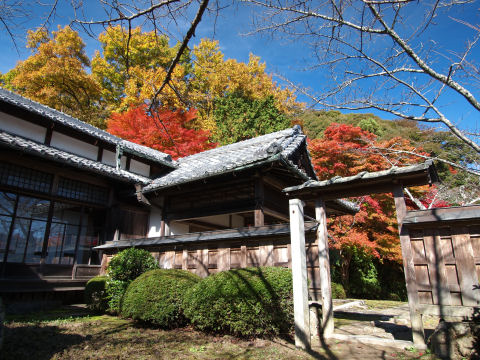 あんまり紅葉には溶け込んでない