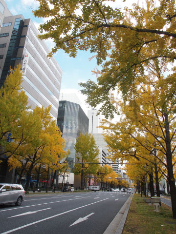 今回はポートレートが多い