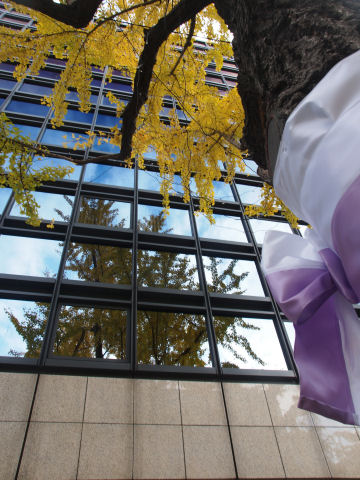 リボンと反射と