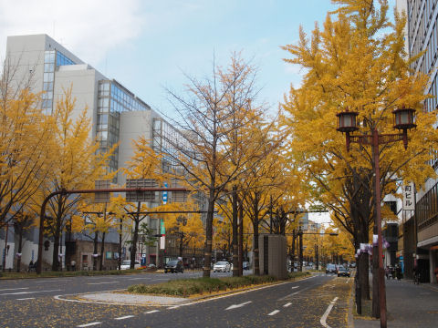 人も車も殆ど絶えない