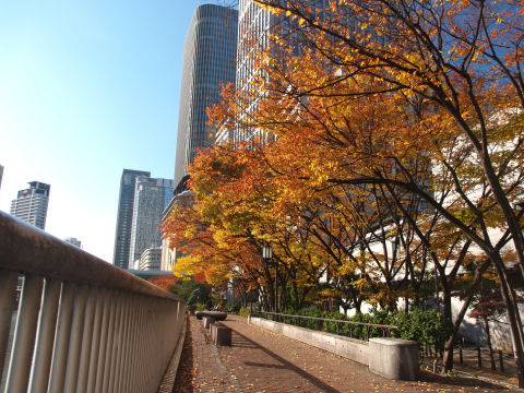 柵が不思議な感じをかもしだす