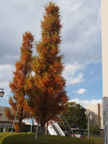 周りはタクシーが停まってる