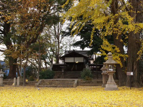 この日は風が強くて散りが現在進行中