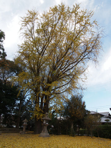 あのときはあんなに若々しかったのに！