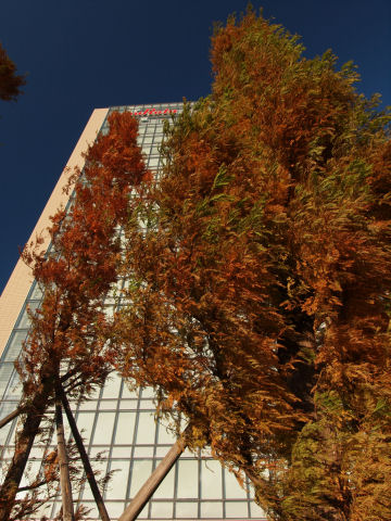 会社の写真コンテストにうまく取り入れないかねえ