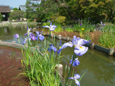 神社をバックに