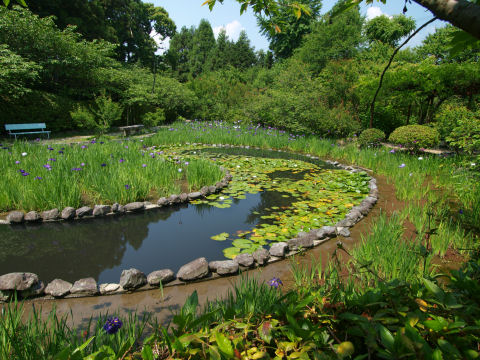 確かに勾玉っぽい