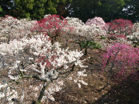 こっちはまあまあか