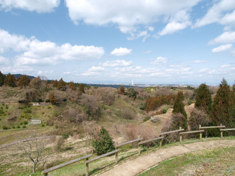 異様な塔が見える