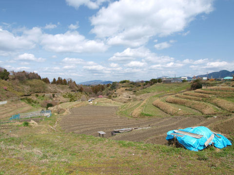 右の方に見えるのが千早赤阪中とさっきの碑