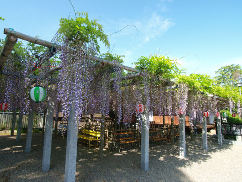 石碑はまあ立派