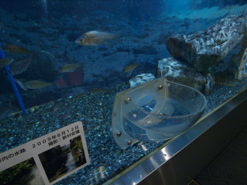 ぐぐればわかる