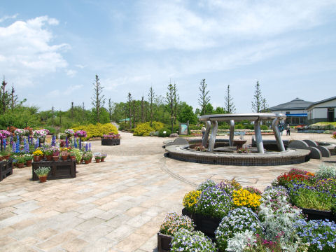 噴水は下をくぐれる