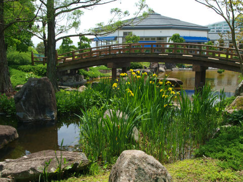 この頃からだんだん曇ってきた