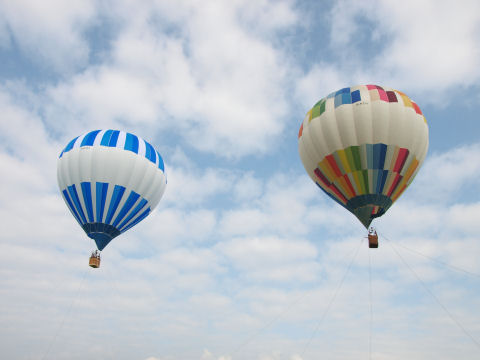 そんなに高く上がらない