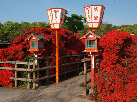 さすが大会社 目立つところに提灯を置いてる