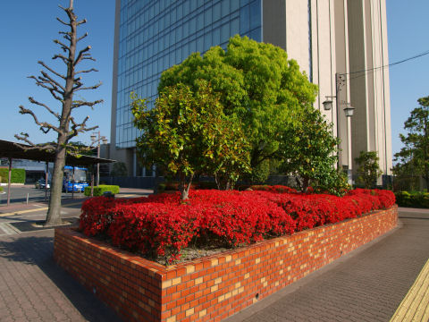 某会社と青いバス