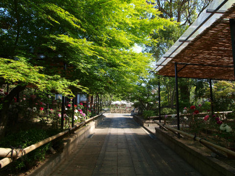 紅葉のときもよさそう