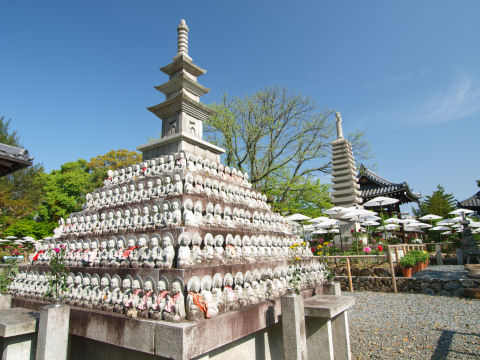 手入れされてるのか汚れてない