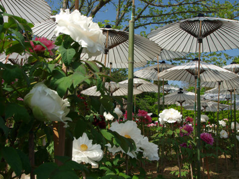 もうちょい寄って