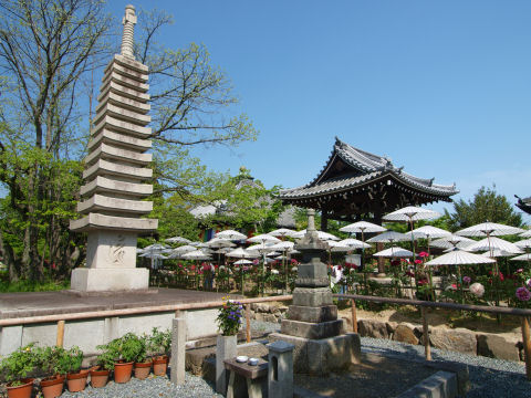 雲ひとつない青い空