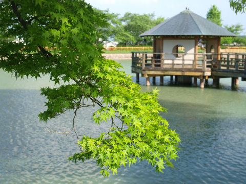 人はけっこういた