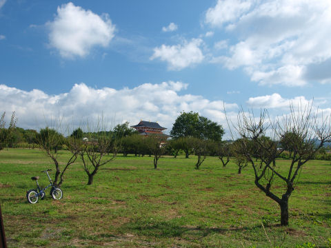 ここは梅苑でしょうか