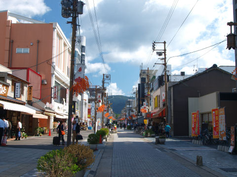 来たのは4年ぶり