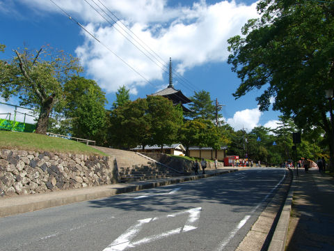 陽射しのせいで日なたは暑い