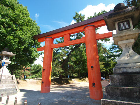 手前は交通量の多い道路