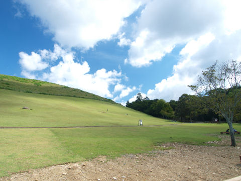 ゴルフ場みたい