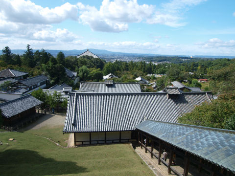 奥の建物が大仏殿
