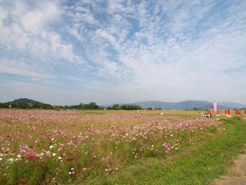 土地がうなるほど余ってる