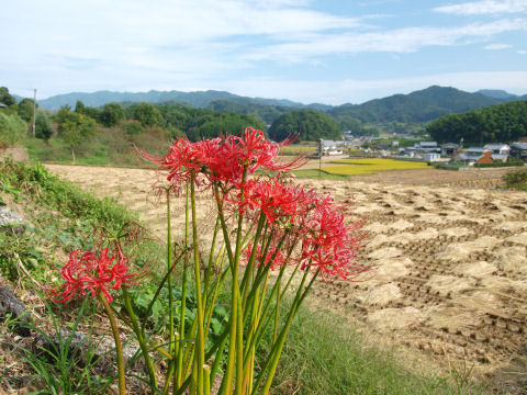 ちょっとあったー