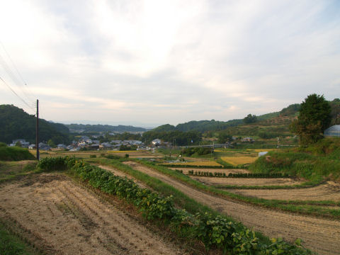 高い所から見下ろす