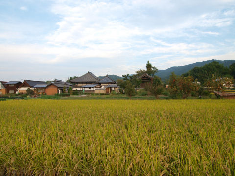 やはり田んぼに囲まれている