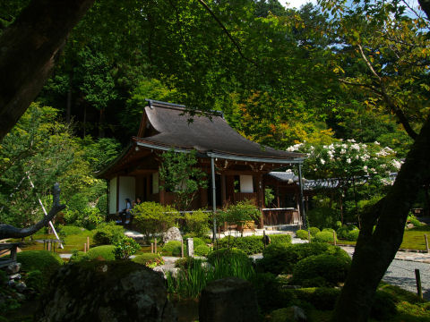 池を挟んで本堂