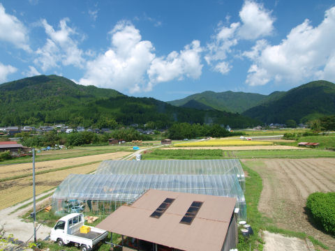 直前のファミリーマートから