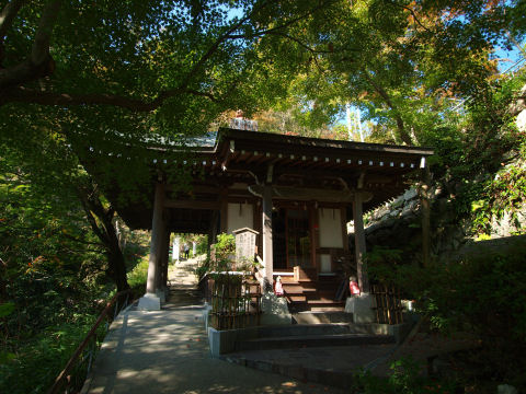 さっきの町並みにも紅葉があったな