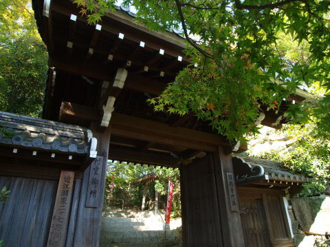 紅葉のときはきれいそう