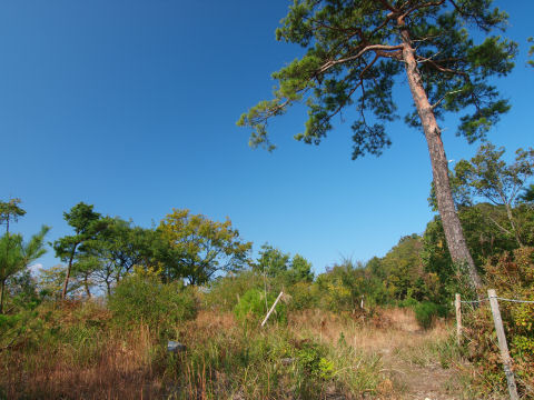 ここはあまり人が来なそうな感じだった