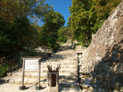 「ほら杖使えよ」って感じで杖がおいてある