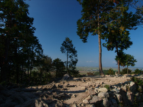 足場は見たとおりごっつごつ