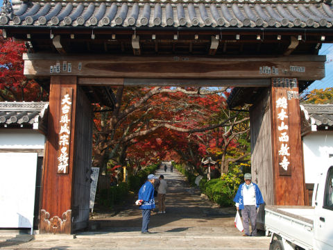 朝からご苦労様です