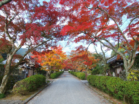 参道の真ん中へん